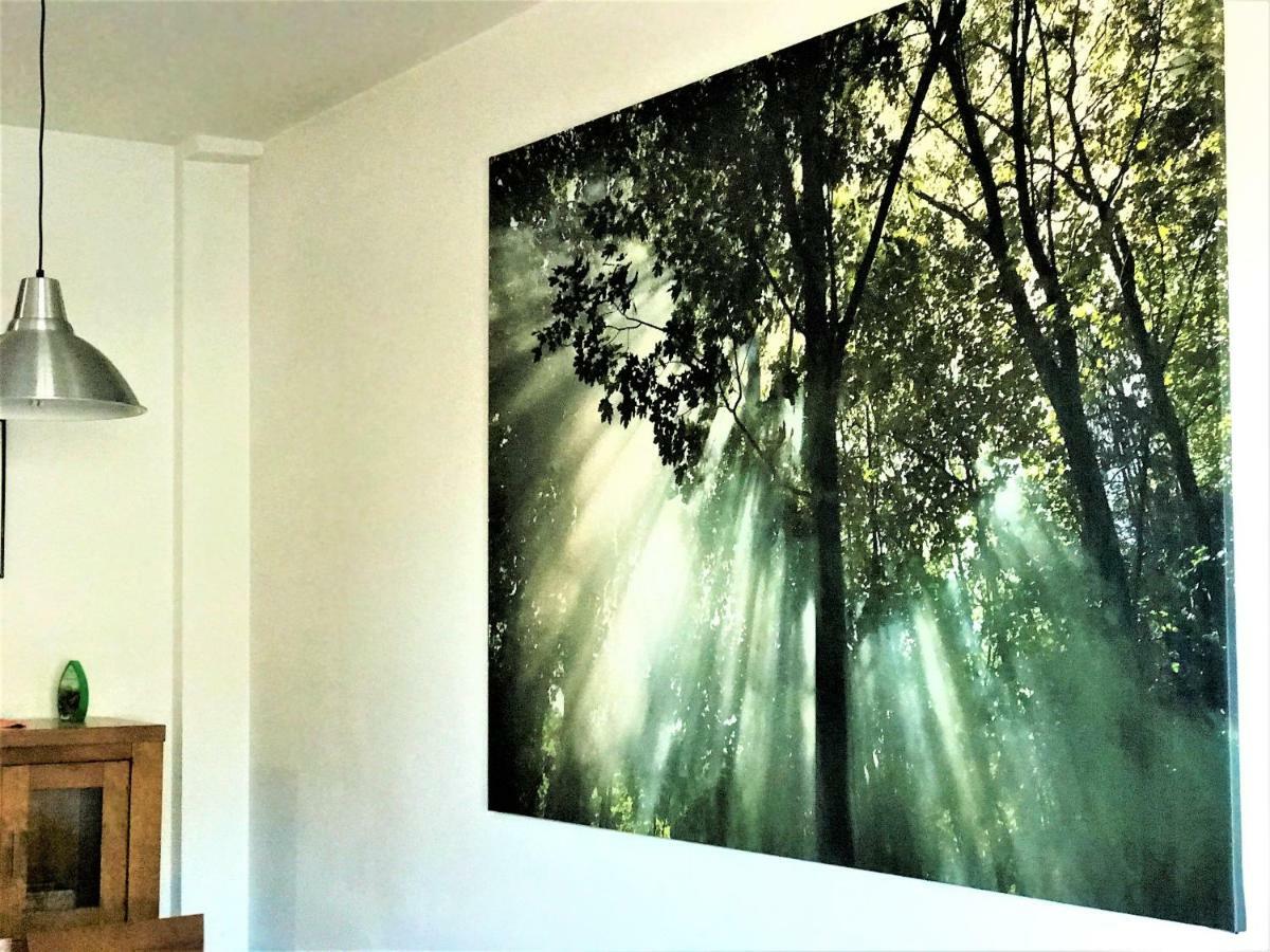 Comfortable Ski Apartment Close To Slopes And Chairlift Wifi&Parking シエラネバダ エクステリア 写真